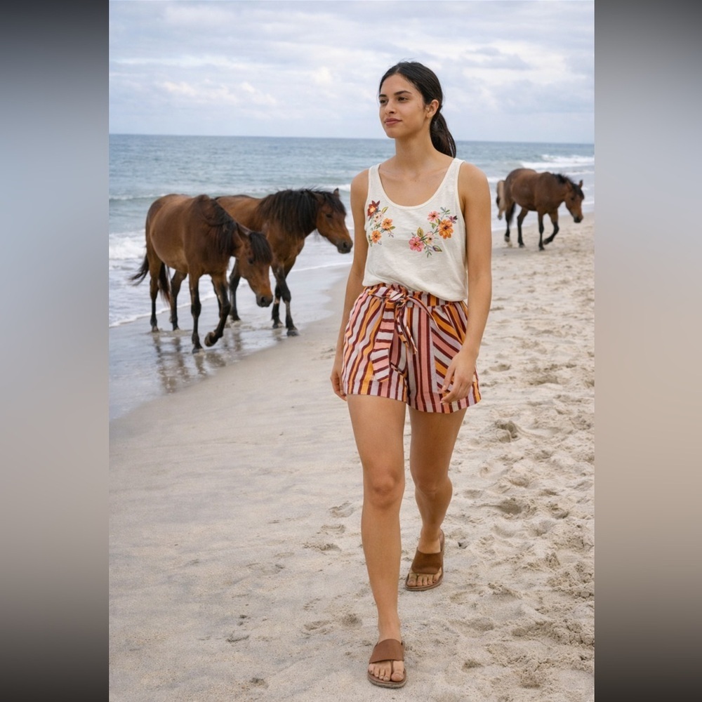 ANTHROPOLOGIE  Belted Stripe Shorts Size SP.